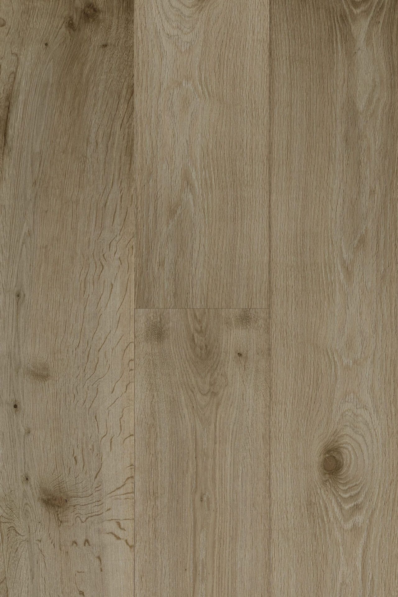 RIVA Carrera Oak